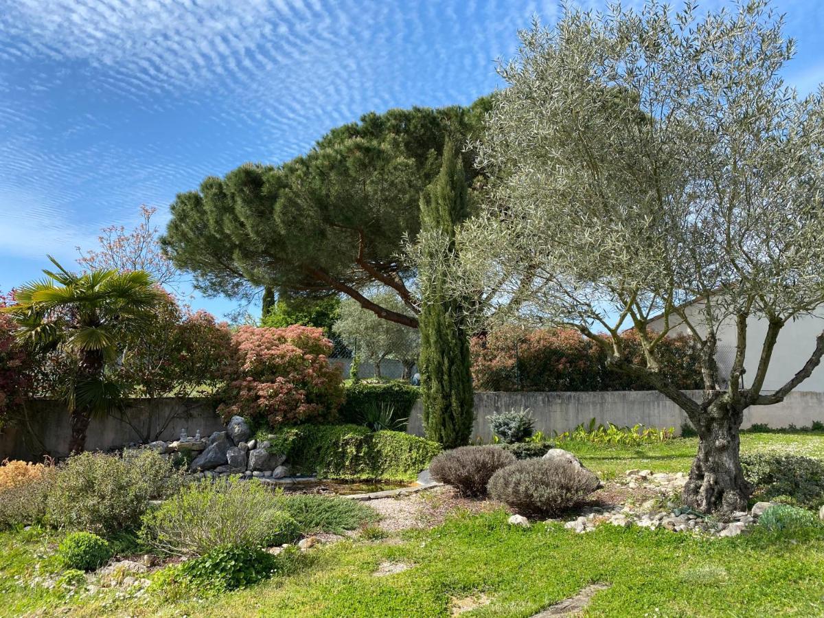 Gite Du Mercadal Les Pujols Pamiers Exteriér fotografie